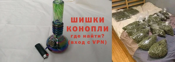 гашик Тында
