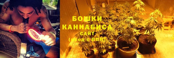 дживик Горно-Алтайск