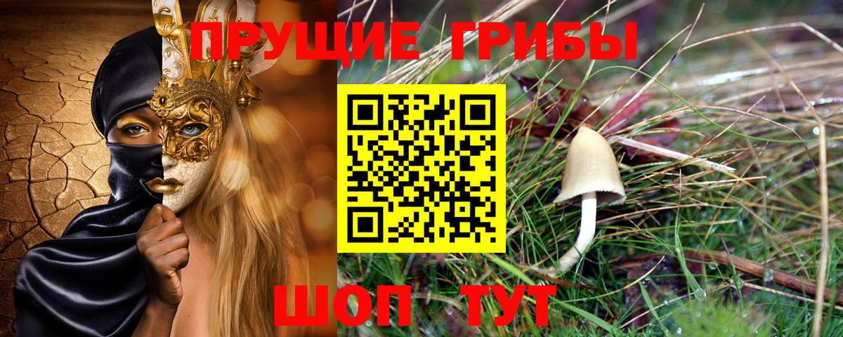 Галлюциногенные грибы MAGIC MUSHROOMS  закладка  Острогожск 